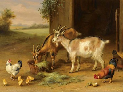 #ad Best Gift Home Wall Decor farm pets chickens Oil Painting Printed On Canvas VII $85.28