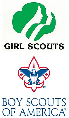 #ad Choice Girl Boy Scouts Iron On Transfer For T Shirt amp; Light Color Fabrics #21 $5.00
