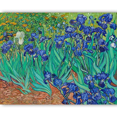 #ad Irises by Vincent van Gogh Giclée Canvas Print 1889 ; Multi Size $135.00