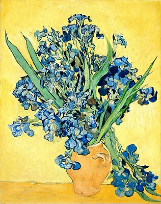 #ad Irises by Vincent Van Gogh Giclee Museum Size Repro on Canvas $89.95