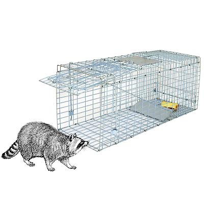 #ad Humane Small Live Animal Trap Control Steel Cage 32quot;x12.5quot;x12quot; Raccoon Skunk Cat $29.29