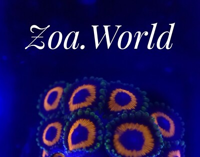 #ad Reverse Fruit Loops Zoa Zoanthid 3 Polyp Frag Free Shipping on Orders $85 $19.99