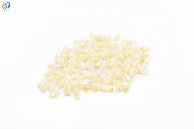 DENTAL POLYCARBONATE TEMPORARY CROWNS BULK BAGS OF 50 UNITS CHOOSE NUMBER $11.99