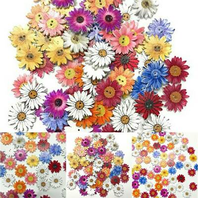 #ad 50Pcs Lots Wooden Buttons Sewing 2 holes Scrapbooking Button Crafts Flower Shape $3.56