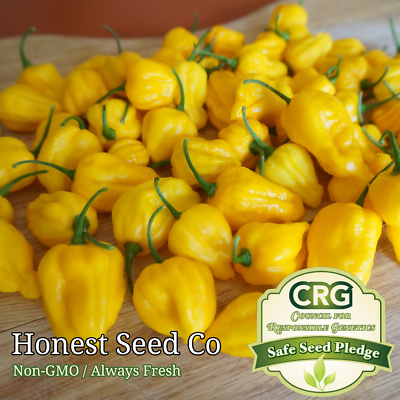 #ad HOT Lemon Habanero Pepper Seeds Non GMO Garden Seeds from USA Free Shipping $3.98