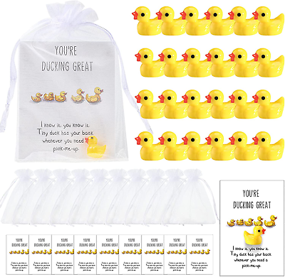 #ad Set of 100 Christmas Employee Inspirational Gift Bulk Mini Resin Ducks with Orga $43.31