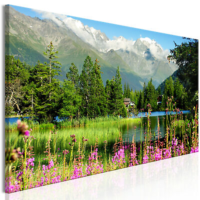 #ad MOUNTAIN VIEW Canvas Print Framed Wall Art Picture Photo Image c B 0531 b a $74.99