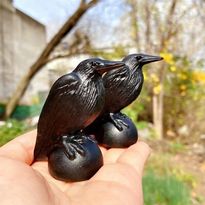 #ad Black Obsidian Raven Hand Carved Crow Crystal Healing Reiki Decoration Gift $20.90