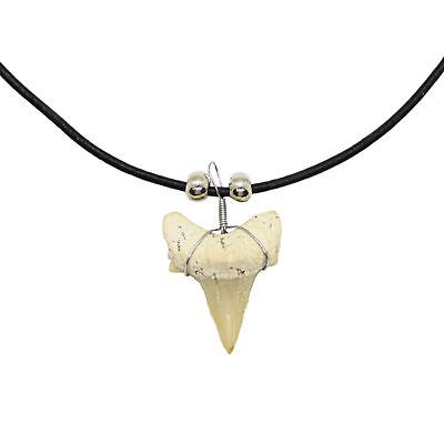 Shark Tooth Necklace for Men Teens Kids Genuine Shark Tooth Pendant $10.95