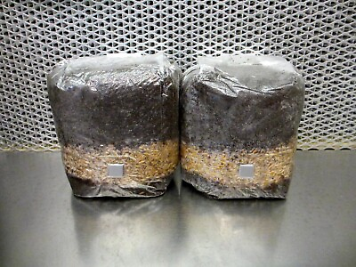 #ad All In One Mushroom Grow Bags Dung Lovers Bulk Substrate w Injection Port $27.99