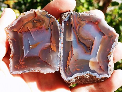 #ad Mirror Polished Extremely Rare Turkish Red Fox Agate Pair Uv Fluorescent $99.00