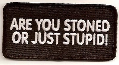 #ad ARE YOU STONED OR JUST STUPID EMBROIDERED IRON ON BIKER PATCH $5.50