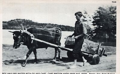 #ad CAPE BRETON NS Boy Hauling Water With Ox And Cart Cape Breton Highlands Park $6.53