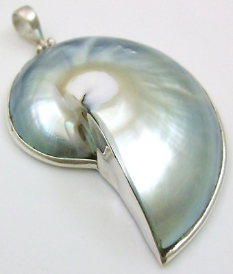 #ad Natural Pearly Nautilus Shell 925 Sterling Silver Pendant Women Jewelry SD008 L $26.99