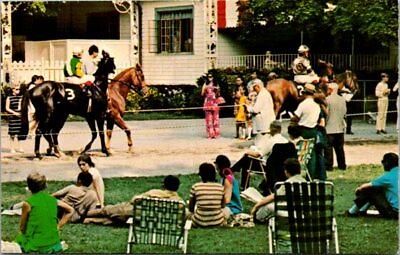 #ad Relaxing on the lawn at Saratoga Race park postcard $2.88