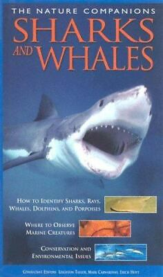 #ad Sharks and Whales by Chain Sales Marketing $5.72