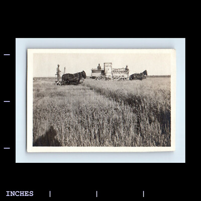 #ad Vintage Photo FARM SCENE MEN WITH COMBINE FARMING HORSE DRAWN CART $13.00