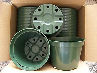 #ad 5quot; azalea green plastic pot @ greenhouse nursery outdoor cactus planter 220 lots $159.99