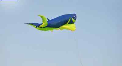 #ad 15cmx120cm toy 3D whale tear resistant soft large single line kite flying bag $141.55