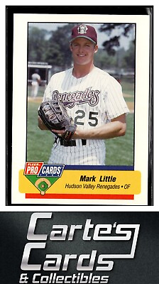 #ad Mark Little 1994 Fleer ProCards #3400 Hudson Valley Renegades $1.95