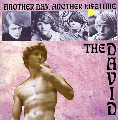 #ad The David Another Day Another Lifetime Used Very Good CD Bonus Tracks $17.06