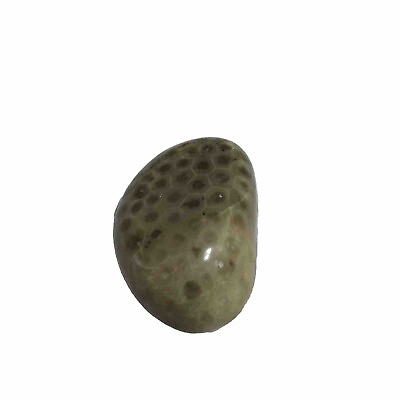 #ad Hand polished Petoskey Stone Rock Semi precious treasure gift fossil Collect $20.00