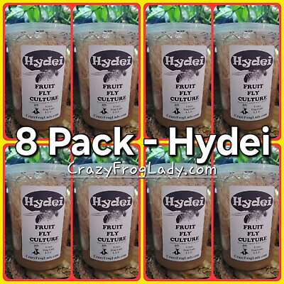 #ad Hydei Fruit Fly 8 PACK Cultures Dart Frog Food Reptile Food FREE SHIPPING $64.99