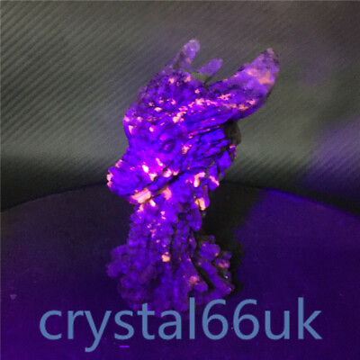 3quot; Natural Yooperlite Magic Dragon Quartz Carved Crystal Gift Healing 1pc GBP 22.60