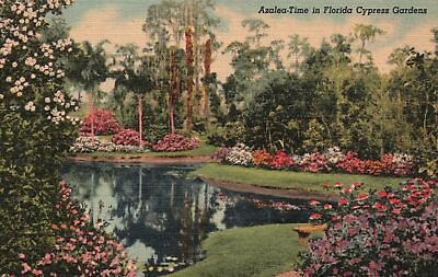 #ad Vintage Postcard Azalea Time In Florida Cypress Gardens Tropical Florida Series $9.98
