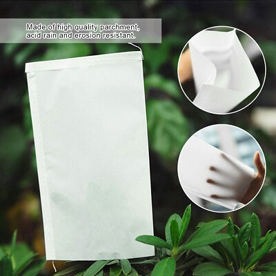 100pcs Garden Pollination Parchment Bags Isolation Protective Bags For MX $13.61
