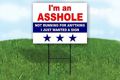 #ad I#x27;M AN A HOLE NOT RUNNING FOR ANYTHING Yard Sign Road with Stand LAWN SIGN $19.99