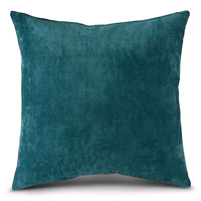 #ad Greendale Home Fashions 20 in x 20 in Modern Aqua Polyester Velvet Throw Pillow $32.67