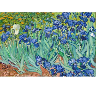 #ad Irises in the Garden by Vincent Van Gogh 11X14 Framed Artwork Home Decor Art New $26.26