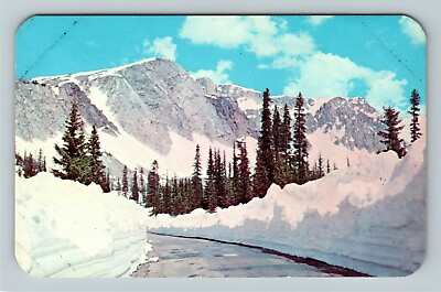#ad Medicine Bow WY Wyoming Medicine Bow Natl Forest Snowy Range Vintage Postcard $7.99