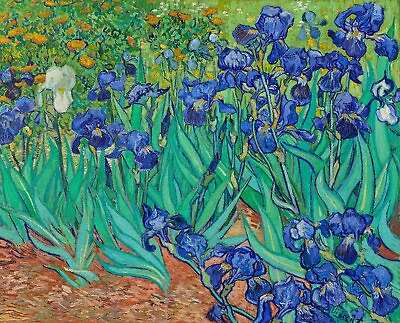 #ad Print Irises 1889 by Vincent Van Gogh. $4.99