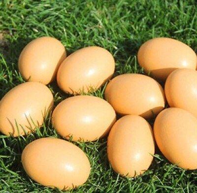 #ad Fake Nest Eggs Wooden Brown Easter Eggs for Craft Get Hens to Lay Eggs 6Pcs $9.68