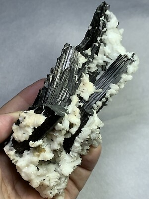 #ad 2985 Carats Long Schorl With Mica Specimen. $349.00