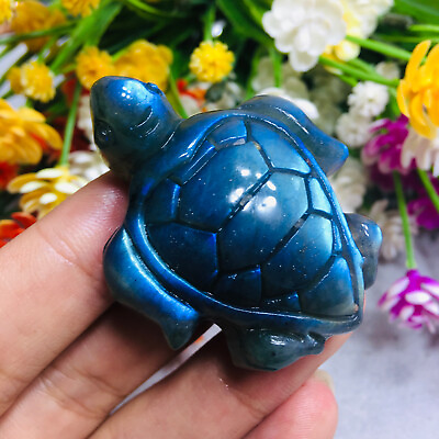Natural Labradorite Hand Carved Turtle Quartz Skull Crystal Gift Reiki Healing $15.03