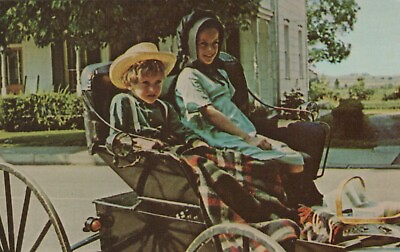 #ad Heart Of Amishland Paradise Kids Carriage Lancaster PA Chrome Vintage Postcard $4.45