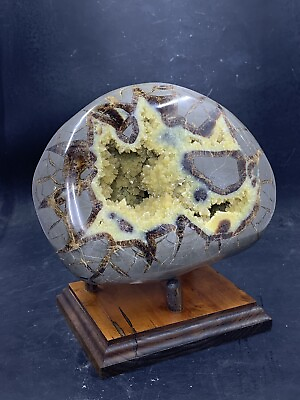 #ad Septarian Nodule Hollow Half Utah with Stand And Description Card $112.50
