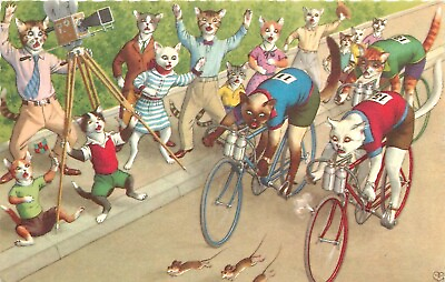 #ad Postcard 1950s Mainzer dressed cats cycling bicycle ace comic humor 23 13596 $14.19
