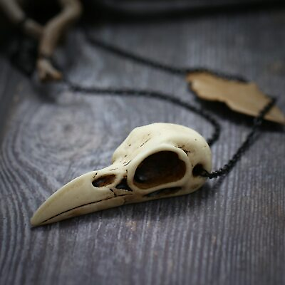 Crow Skull Pendant Necklace Cast Resin Replica 2.75quot; Magpie Skull Unique Gift C $3.99