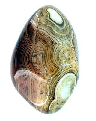 #ad 185ct Natural Fine Botswana Agate AAAA Chakra Reiki Healing Stone Loose 45x30mm $19.35