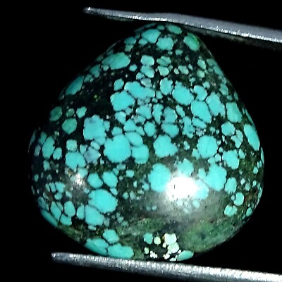 #ad Natural Turquoise Gemstone 10.70 Cts Loose Pear Cabochon From Tibet 18X19X5MM $6.50