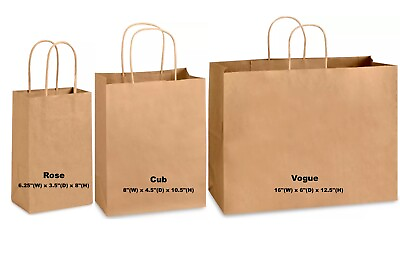 Kraft Paper Bag Party Shopping Gift Bags Retail Merchandise with Handles $94.90