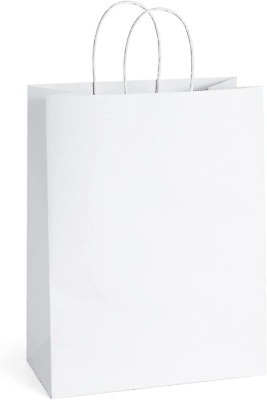 #ad Gift Bags 10X5X13 25Pcs White Paper Bags Gift Bags with Handles Bulk Shopping Ba $37.69