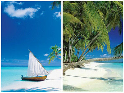 #ad Maldives Beach Paradise Found 2 Individual Posters Island Dorm Décor Never Hung $19.99
