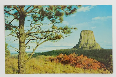 #ad Devils Tower National Monument Northern Black Hills South Dakota Postcard $3.24