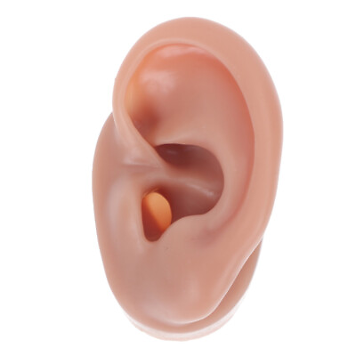 #ad silicone acupuncture ear Silicone Body Parts for Piercing Silicone Ear Ear Model $9.55