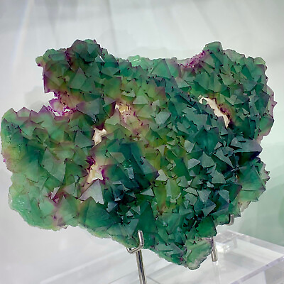 #ad 12.46LB Rare transparent green purplecubic fluorite mineral crystal sample China $24874.50